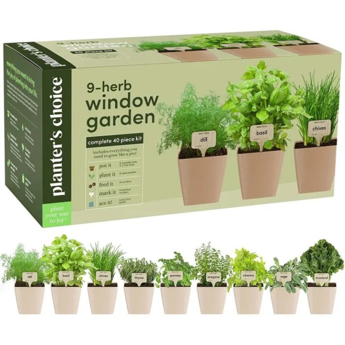 Best Indoor Herb Garden Kits: So, You Love Gardening but Don't Have ...